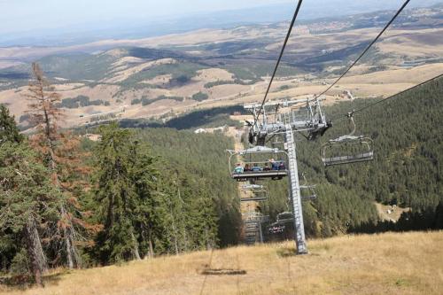 prizma zlatibor