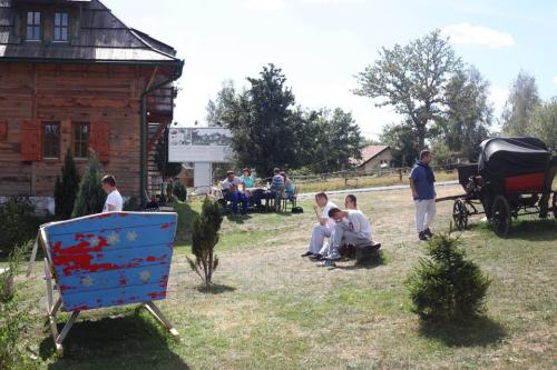 zlatibor salas